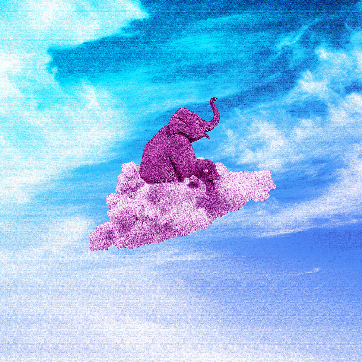 Strictly No Elephants